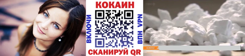 купить наркотики сайты  Темников  Cocaine Fish Scale 